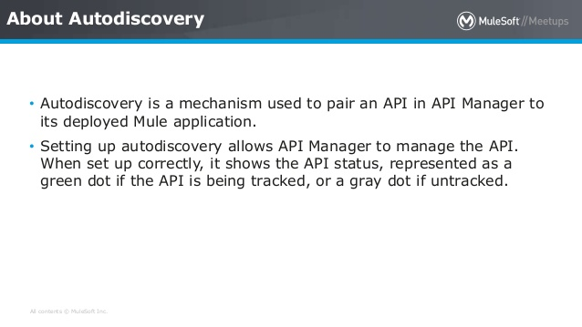 December Mulesoft Meetup Recap: API Discovery, Munit Testing, and Anypoint Service Mesh 2