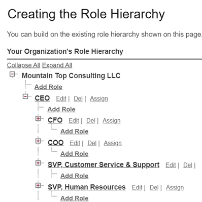Sample Role Hierarchy