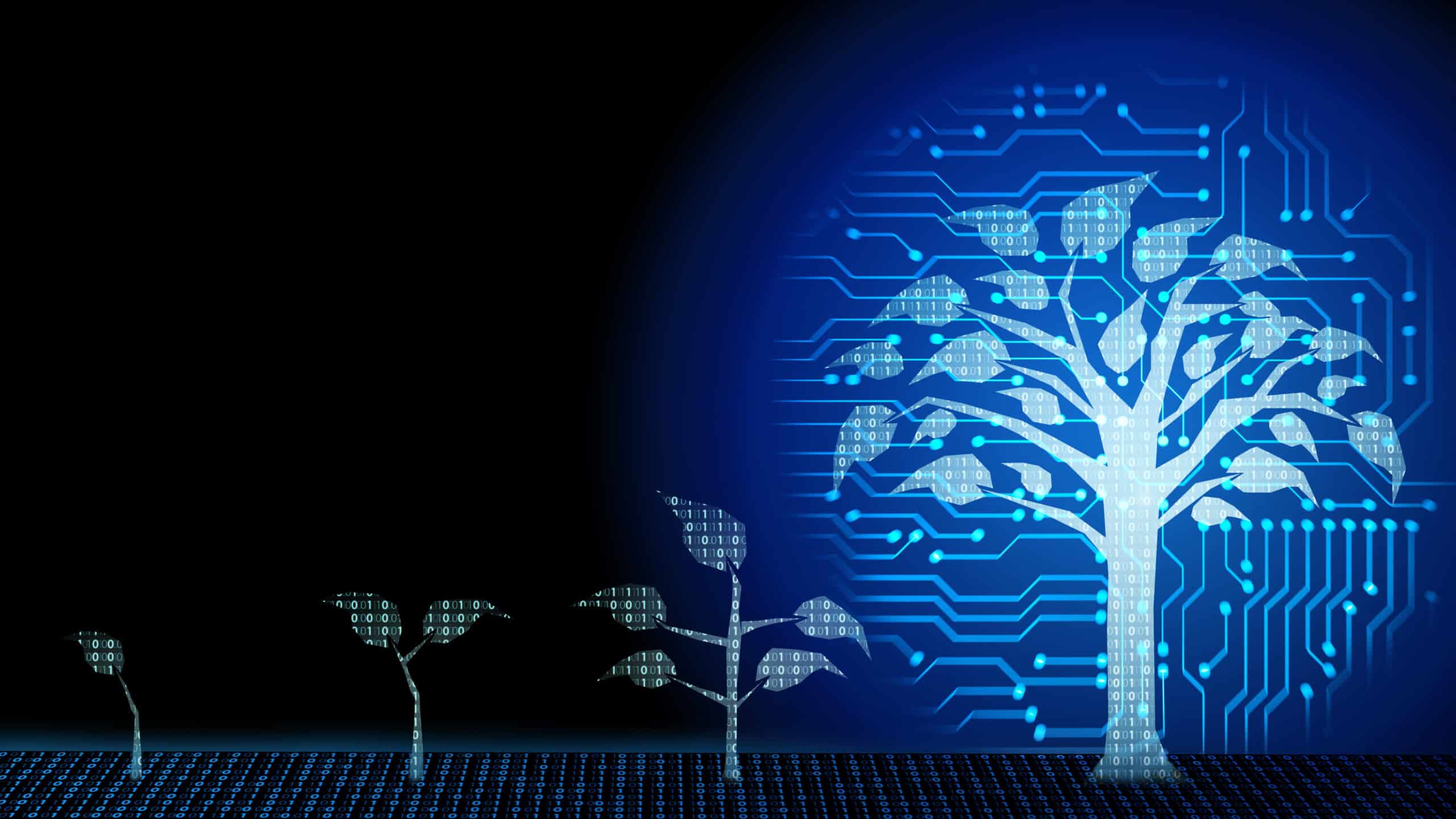 Tree growing symbolizing digital transformation