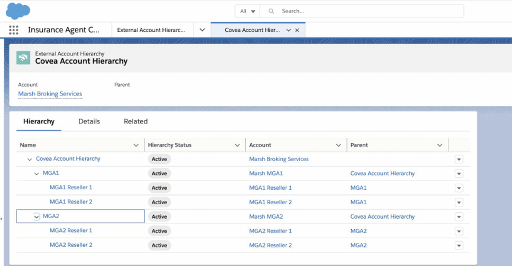 Account Relationship Support in the Salesforce Winter '21 Insurance Release Notes