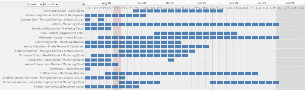 Filtered Salesforce calendar scheduling view in Calendaranything