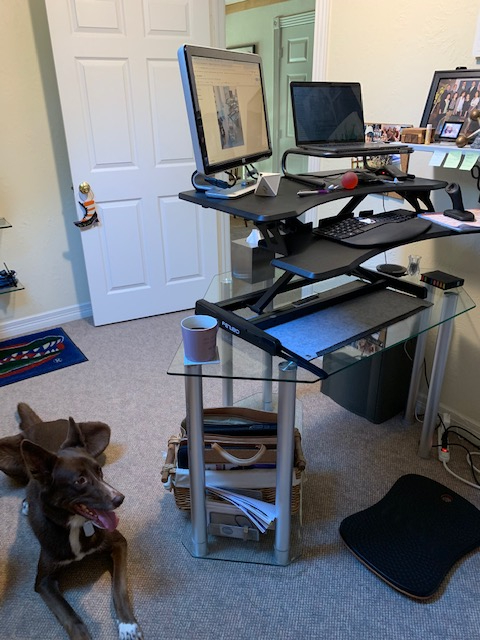 Silverline Office Tour: Remote Edition 2